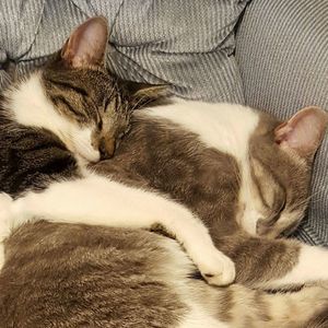 Meet your Posher, Stacy